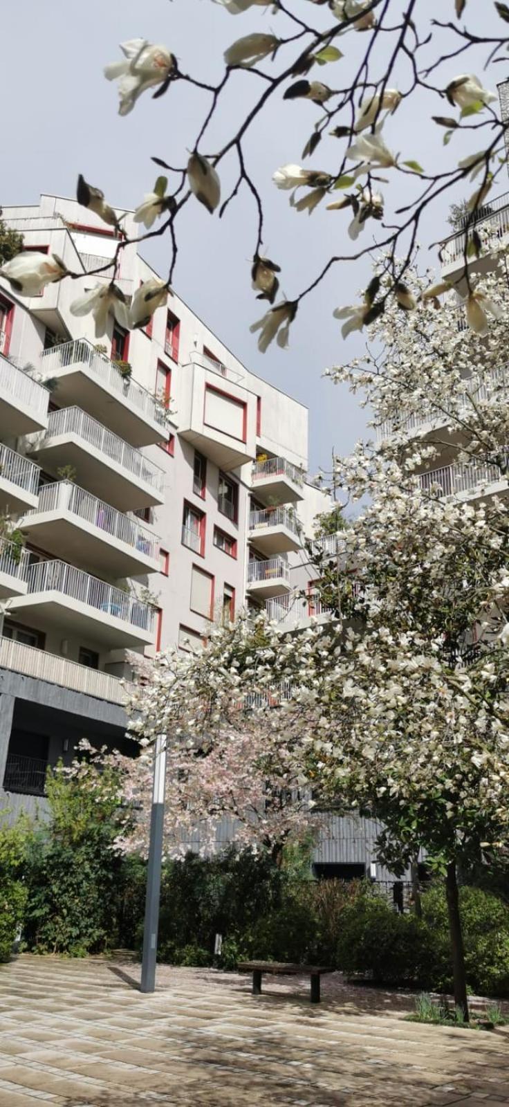Eiffel Seightseing Apartment Paris Exterior foto